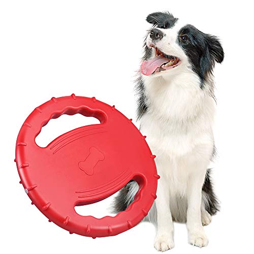 Skrtuan Hundefrisbee