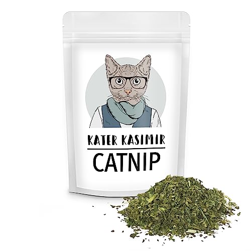 Kater Kasimir Katzenminze