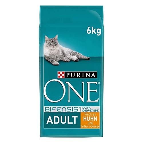 Purina One Trockenfutter