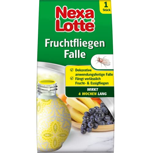 Nexa Lotte Fruchtfliegenfalle