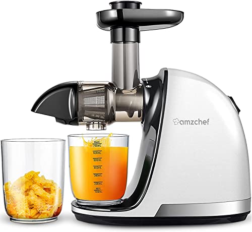 Amzchef Slow Juicer