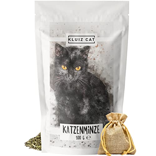 Kluiz Katzenminze