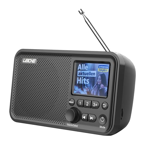 Leicke Dab Radio