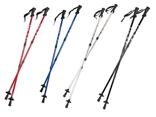 Eurobatt Nordic Walking Stoecke