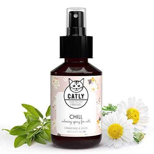 Catly Katzenminze Spray