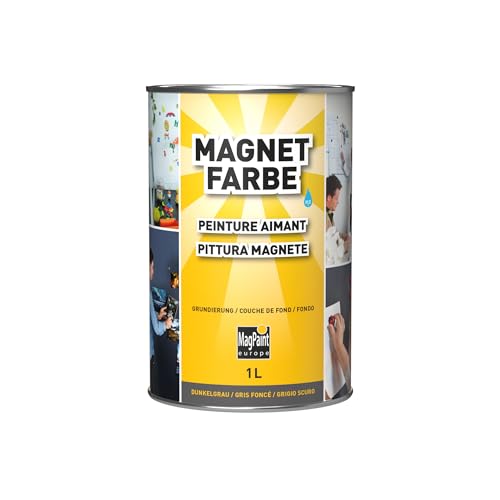 Magpaint Magnetfarbe