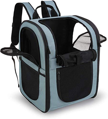 Apollo Walker Katzenrucksack