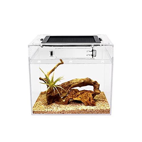 Reptile Growth Terrarium