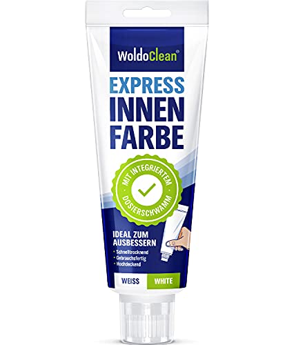 Woldoclean Dispersionsfarbe