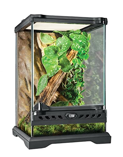 Exo Terra Terrarium