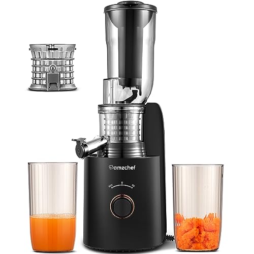 Amzchef Slow Juicer