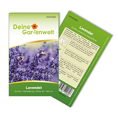 Deine Gartenwelt Lavendel Vermehren