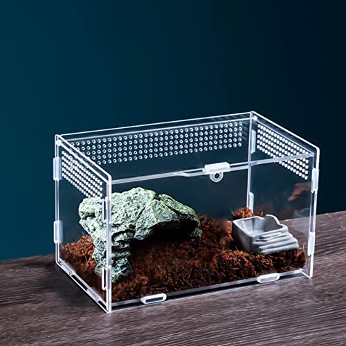 Nizirioo Terrarium