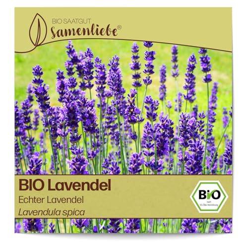 Samenliebe Lavendel Vermehren