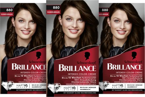 Brillance Haarfarbe