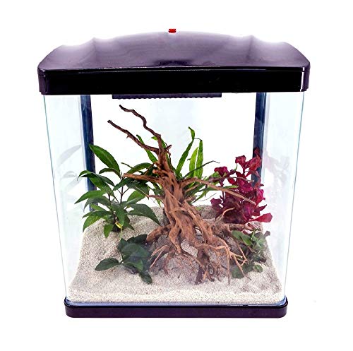 Aquaone Aquarium Komplettset