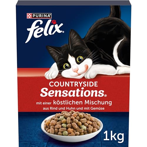 Felix Katzentrockenfutter