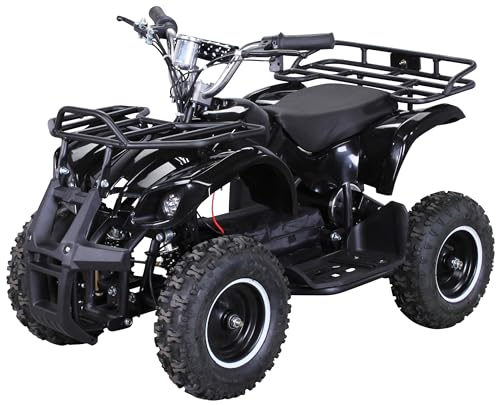 Actionbikes Motors Kinderquad